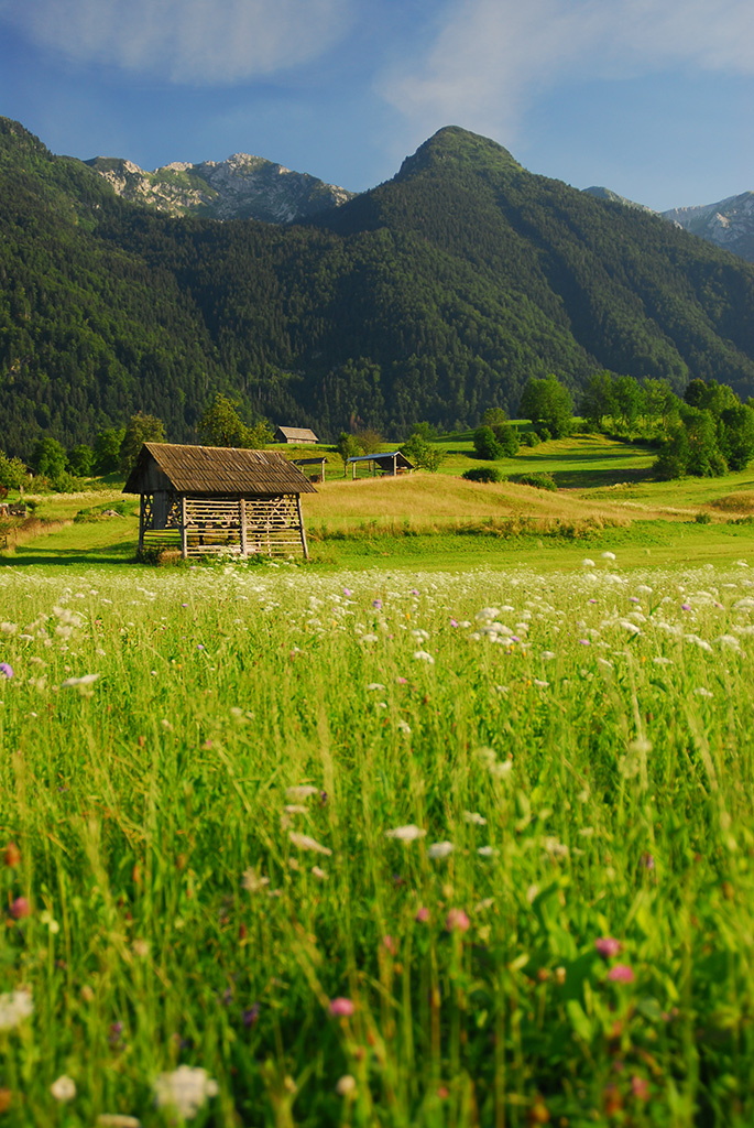 Discover the alpine beauty of Slovenia